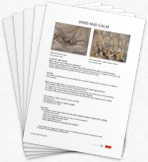 Movement Teaching Pack